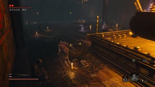 sc^イカれた生放送(SEKIRO)　２７－１６