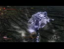 sc^イカれた生放送(SEKIRO)　２７－１７