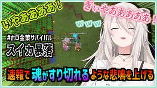 獅白ぼたん｜スイカ暴落で酪農家が悲鳴！【ホロライブ/さくらみこ/大空スバル/猫又おかゆ/戌神ころね/兎田ぺこら/尾丸ポルカ/ホロライブ切り抜き/切り抜き/clip】