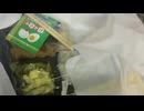 ジャワの家を調べてメモる大島