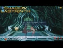 【SHADOW LABYRINTH】第21回　２つの高エネルギー体を確保しろ　じっくり攻略実況　シャドウラビリンス