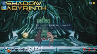 【SHADOW LABYRINTH】第21回　２つの高エネルギー体を確保しろ　じっくり攻略実況　シャドウラビリンス