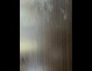 77615482339__9330AF39-48FC-4BA4-8708-319F592EA3FC