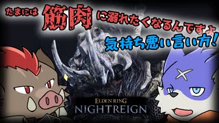 【ナイトレイン】武器が当てられる限り、敵は必ず殺せるのだ #1【ゆっくり実況】