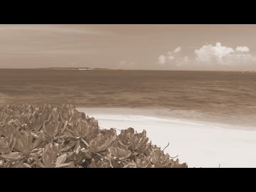 【誰得？】YUIの「SUMMER SONG」を歌ってみてもらった