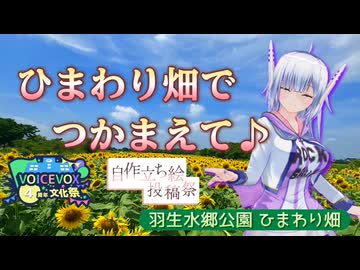 【羽生水郷公園】ひまわり畑でつかまえて♪【VOICEVOX4周年文化祭】
