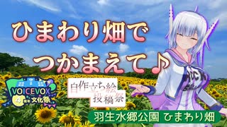【羽生水郷公園】ひまわり畑でつかまえて♪【VOICEVOX4周年文化祭】