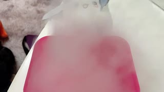 ドライアイスで涼しい気分になれる動画