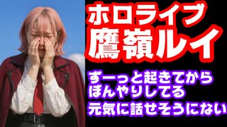 ホロライブメンバー、悲しいニュース匂わせが止まらない！鷹嶺ルイも参戦し誰か卒業するのではとの噂も【カバー株式会社/VTuber】