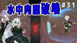 （ENDER MAGNOLIA）水中肉腫破壊　 part31