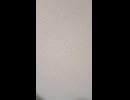 遂にGaryも地元民アンチも大人しくなった、組入ってた俺が怖いんじゃろ？？みとめぇぇや！！ゴラ？？あ？？