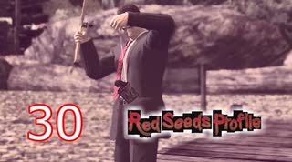 ＃30 レッドシーズプロファイル【初見実況】