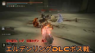 エルデンリングDLCボス戦