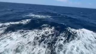 2025年08月06日09時00分　北海道釣りの旅34日目　2/2