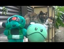 ハロとザクと猫２匹