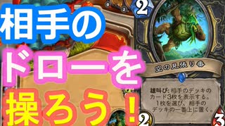 地味なカード「空の見張り番」を輝かせたい！【ウンゴロ最後の秘境】