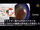 最近の研究で、ワクチン接種による再生不可能な角膜内皮細胞の減少が明らかに