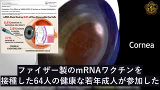 最近の研究で、ワクチン接種による再生不可能な角膜内皮細胞の減少が明らかに