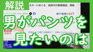 【雑談vol.130】なぜ大人がパンツを見たいのか？【切り抜き】【ニコ生】【アフラン】