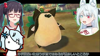 コトエたちのスカウォ日記　8日目　キュイ族を探せ