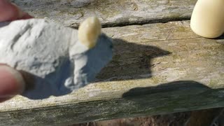 石を喰うASMR動画を投稿して皆を怖がらせましょう