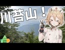 【ニコニコ登山祭】川苔山を登りました【ナースロボ＿タイプＴ】