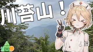 【ニコニコ登山祭】川苔山を登りました【ナースロボ＿タイプＴ】