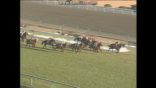 2003 ＣＢＣ賞 (GII)　シーイズトウショウ　アンミツJRA重賞初制覇