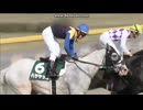 2019 レパードステークス (GIII)　ハヤヤッコ