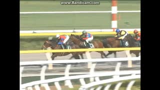 2009 レパードステークス（新設重賞）トランセンド