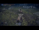 【ソロプレイ】ELDEN RING NIGHTREIGN_知性の蟲【DAYⅡ】