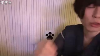 めじろうの失恋「ユキちゃんは彼氏が出来たからでしょ…絶対だからね！かわいかったでしょ…前兆があった…」　※ユキちゃんにずっと求愛していた