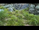 山城しんごの城めぐり　日本三大山城・国指定史跡　高取城(奈良県高取町)