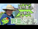 Emilychannel渋谷クロスFm2025年8月5日火曜日20時放送分株式会社たねまき舎 代表取締役島田忠重❶
