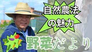Emilychannel渋谷クロスFm2025年8月5日火曜日20時放送分株式会社たねまき舎 代表取締役島田忠重❶