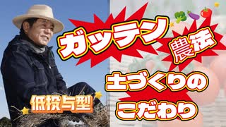 Emilychannel渋谷クロスFm2025年8月5日火曜日20時放送分株式会社たねまき舎代表取締役島田忠重❷