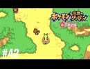 ポケモン不思議ダンジョン　赤の救助隊実況プレイしてみた⭐️＃42【てぃきみ】〜全ポケモン捕まえる旅(034/413)〜