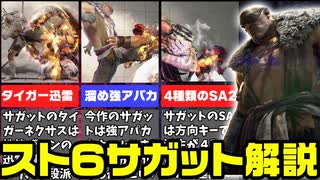 【スト6】サガット参戦！新技タイガー迅雷ってなんだ！？性能・技・コンボ徹底解説【ずんだもん解説】