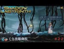【SHADOW LABYRINTH】第22回　２つの高エネルギー体を確保しろ　じっくり攻略実況　シャドウラビリンス