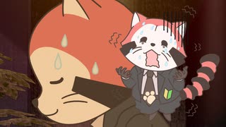 あらいぐま カルカル団　第19話　MISSION-19　登れ！大人の階段！