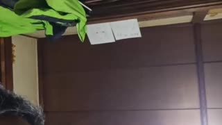 【嘉明さん？】2025年8月6日14:06 フグちゃん家にて誰かが佐川急便の荷物を受け取る【生存確認？】