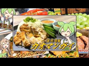 【カオマンガイリレー第四十一夜】ずんだもんが夜なべしながら作ったカオマンガイ