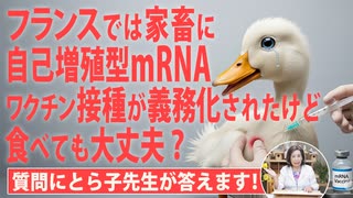 レプリコンワクチンを打った家畜を食べても大丈夫？