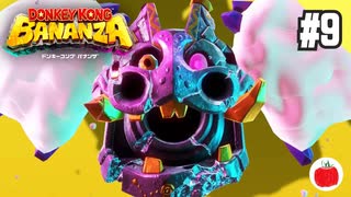 【実況】ドンキーコング バナンザを初見で遊ぶいも【#9】