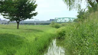 Panasonic LUMIX S1RIIで撮った夏の荒川