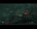 sc^イカれた生放送(SEKIRO)　２７－１８