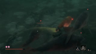 sc^イカれた生放送(SEKIRO)　２７－１８