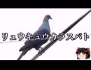 【ゆっくり朗読】ゆっくりさんと絶滅した生物　その40