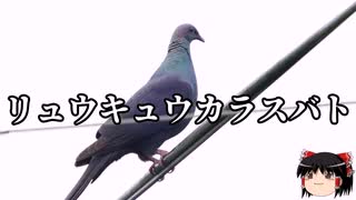 【ゆっくり朗読】ゆっくりさんと絶滅した生物　その40