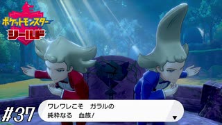 うわぁ…【ポケモン盾実況#37】